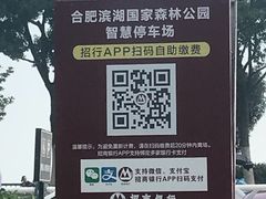 -合肥滨湖国家森林公园