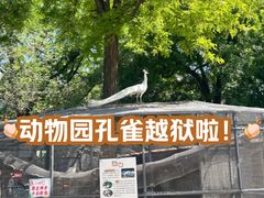 -保定市动物园