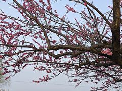 -湖州太湖旅游度假区-月亮广场