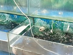 -物美(北沙滩店)