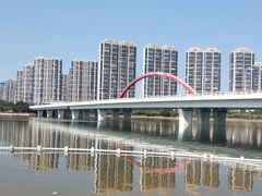 -五缘湾湿地公园