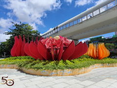 -阳台山森林公园