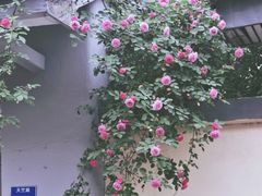 -颐和路民国时期公馆风貌区
