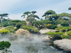 -罗红摄影艺术馆