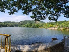 -深圳仙湖植物园