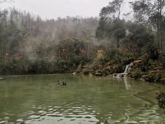 -都江堰中华大熊猫苑