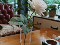 -桉树林A coffee 森林餐厅(三圣乡店)