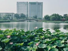 -西海子公园