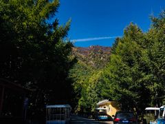 -白草畔自然风景区