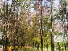 -永定河休闲森林公园