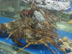 -张树军海鲜(王府壹号店)