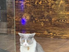 -猫的魔法密林(衣裳街店)