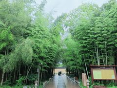 -九龙潭景区