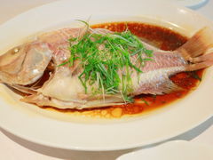 -白云中餐厅·粤菜·亚龙湾喜来登度假酒店