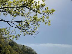 -王顺山国家森林公园