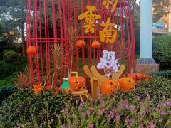 -七彩云南欢乐世界