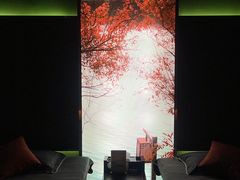 -臻享足道·HIFI影院足疗·泡浴SPA(成华店)