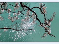 -红星桥(地铁站)