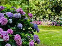 -常州古运河南大街文化旅游区-人民公园