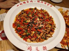 -将军府·鸡毛店(武侯祠店)