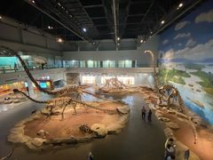 -自贡恐龙博物馆