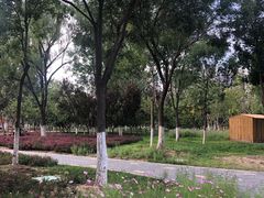 -回龙观体育文化公园