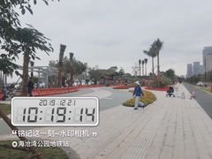 -海沧湾公园