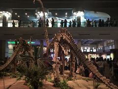 -自贡恐龙博物馆