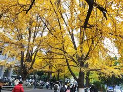 -四川大学(华西校区)