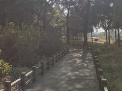 -长春市南湖公园