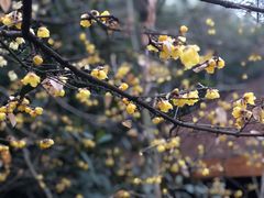 -天目湖御水温泉·度假酒店