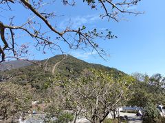 -梧桐山风景名胜区