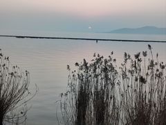 -阳澄湖半岛旅游度假区