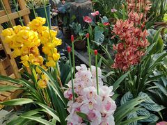 -国家植物园南园