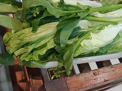 -顺水湾·牛肉牛杂火锅(驾鹤店)