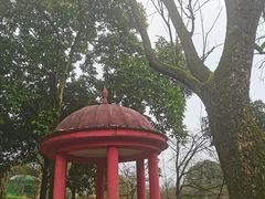-南山植物园