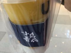 -春丽小马(济南恒隆广场店)