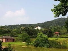 -合肥野生动物园