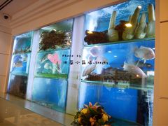 -新加坡海鲜共和(名胜世界圣淘沙海滨坊)