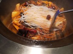 -挂雪铁锅炖大鹅