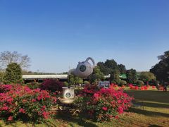 -侯臣咖啡文化村