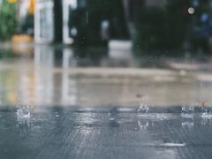 -boundaries籬苑(瑞光创意工厂-贰号院店)