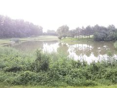 -龙熙温泉高尔夫俱乐部