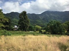 -塔川景区
