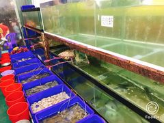 -QQ海鲜餐厅