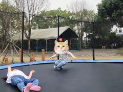 -鹅湖玫瑰文化园