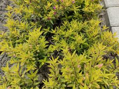 -中国天府农业博览园