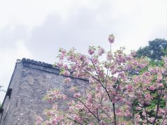 -何园