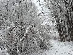 -太子岭滑雪场