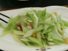 -丁老爷子苏香圆